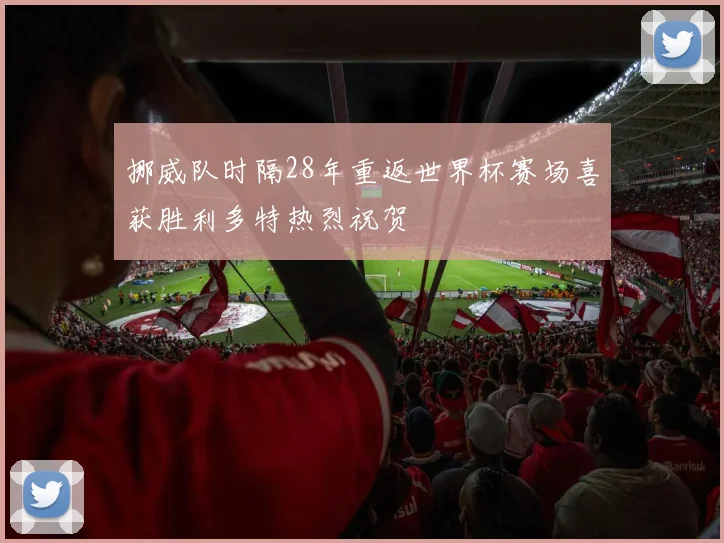 挪威队时隔28年重返世界杯赛场喜获胜利多特热烈祝贺