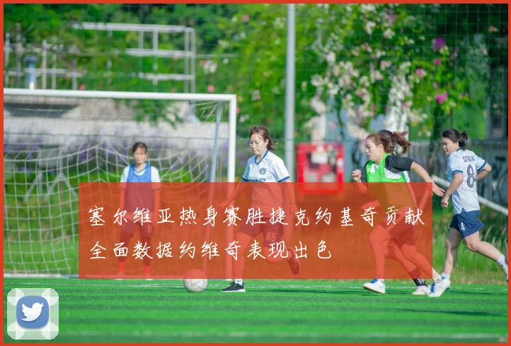 塞尔维亚热身赛胜捷克约基奇贡献全面数据约维奇表现出色
